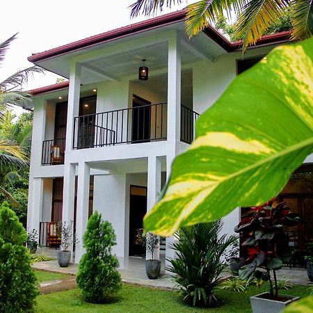 Manike Lodge Habarana Exteriér fotografie