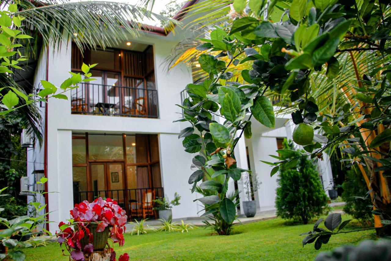 Manike Lodge Habarana Exteriér fotografie